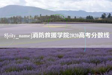 福建消防救援学院2020高考分数线