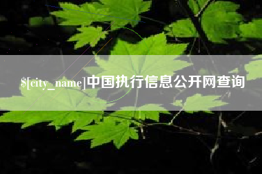 福建中国执行信息公开网查询