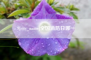 福建全国消防日哪一