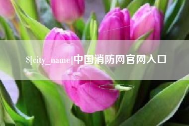 福建中国消防网官网入口