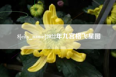 福建2022年九宫格飞星图