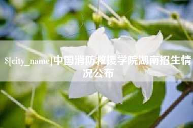 福建中国消防救援学院湖南招生情况公布