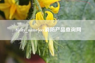 福建ccc消防产品查询网