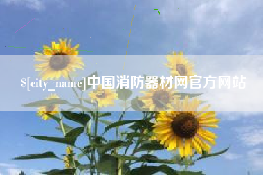 福建中国消防器材网官方网站
