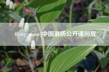 福建中国消防公开课回放