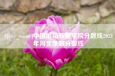 福建中国消防救援学院分数线2023年河北录取分数线