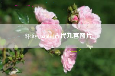 福建古代九宫图片