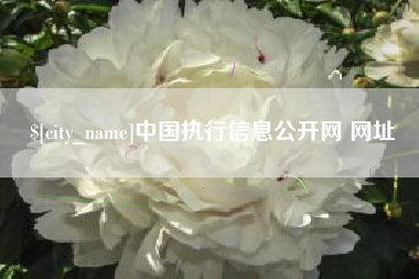 福建中国执行信息公开网 网址