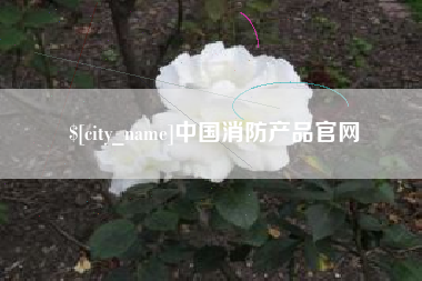 福建中国消防产品官网
