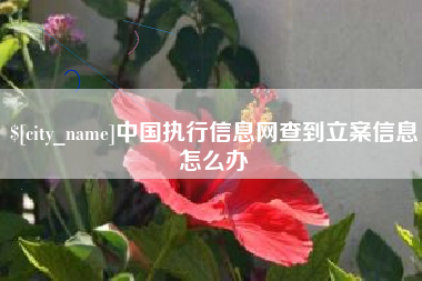 福建中国执行信息网查到立案信息怎么办