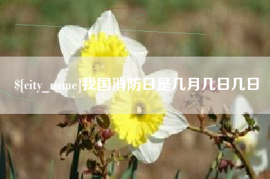福建我国消防日是几月几日几日