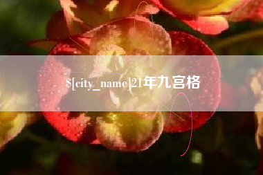 福建21年九宫格