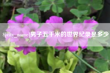 福建男子五千米的世界纪录是多少