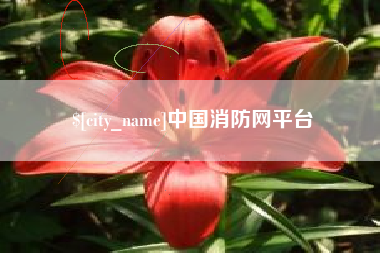 福建中国消防网平台