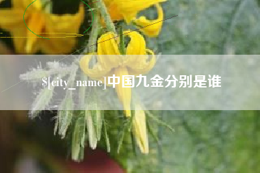 福建中国九金分别是谁