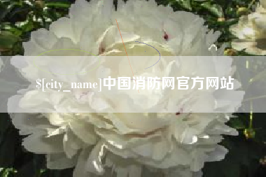 福建中国消防网官方网站