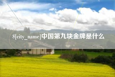 福建中国第九块金牌是什么