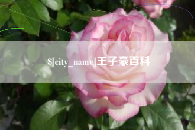 福建王子豪百科