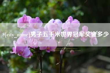 福建男子五千米世界冠军奖金多少
