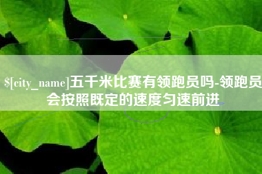 福建五千米比赛有领跑员吗-领跑员会按照既定的速度匀速前进