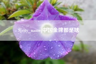 福建中国金牌都是啥