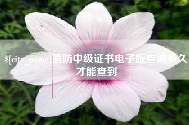 福建消防中级证书电子版查询多久才能查到