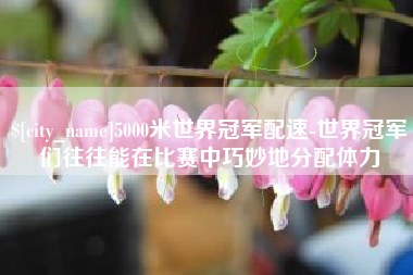 福建5000米世界冠军配速-世界冠军们往往能在比赛中巧妙地分配体力