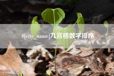 福建九宫格数字排序