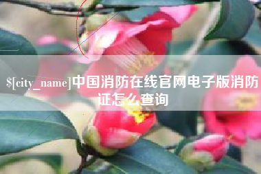 福建中国消防在线官网电子版消防证怎么查询