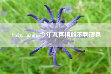 福建今年九宫格的不利颜色