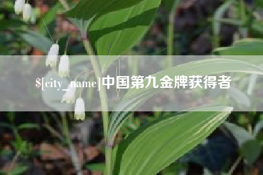 福建中国第九金牌获得者