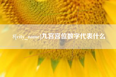 福建九宫宫位数字代表什么