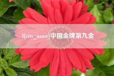 福建中国金牌第九金