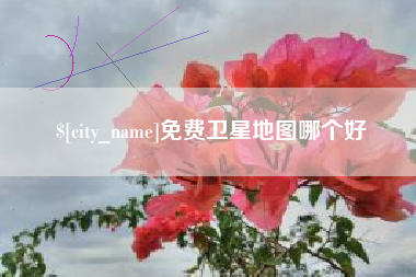 福建免费卫星地图哪个好