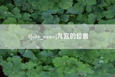 福建九宫的位置