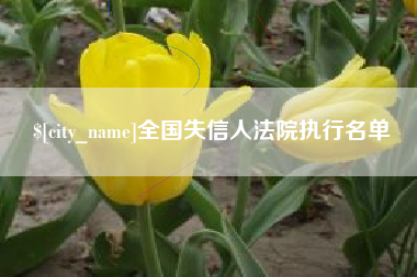 福建全国失信人法院执行名单