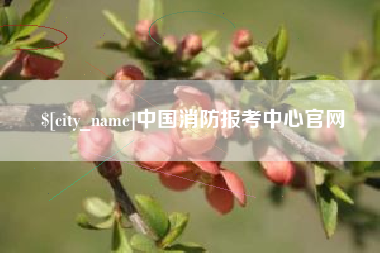 福建中国消防报考中心官网