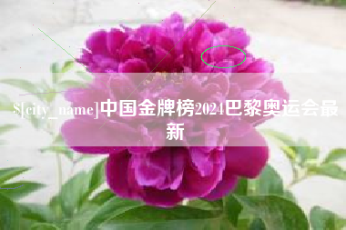 福建中国金牌榜2024巴黎奥运会最新
