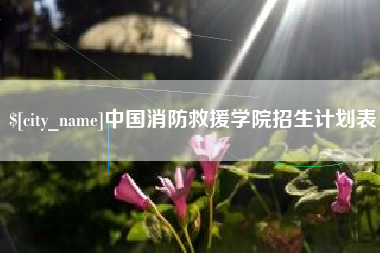 福建中国消防救援学院招生计划表