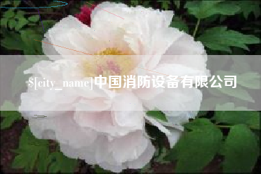 福建中国消防设备有限公司