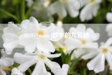 福建数字的九宫格