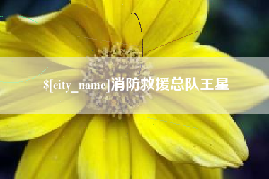 福建消防救援总队王星