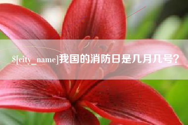 福建我国的消防日是几月几号？