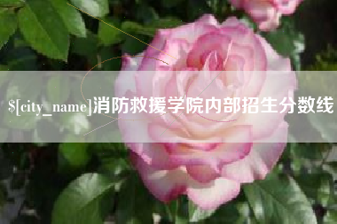 福建消防救援学院内部招生分数线