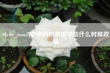 福建中国消防救援学院什么时候政审