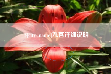 福建九宫详细说明