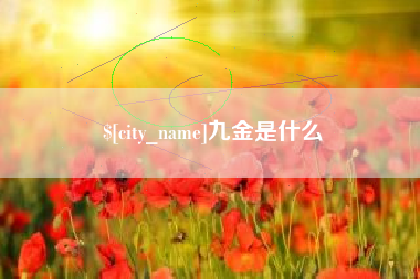 福建九金是什么