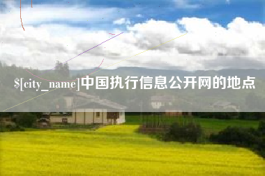 福建中国执行信息公开网的地点