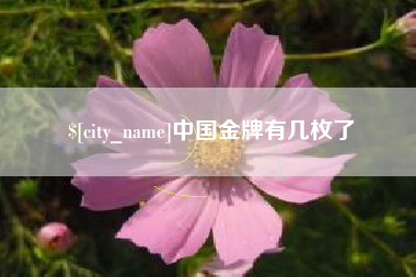 福建中国金牌有几枚了