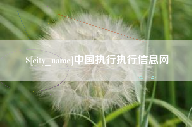 福建中国执行执行信息网